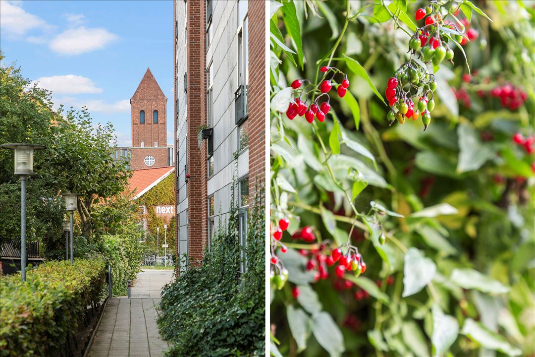 Stadens Vænge 1, ST. 8