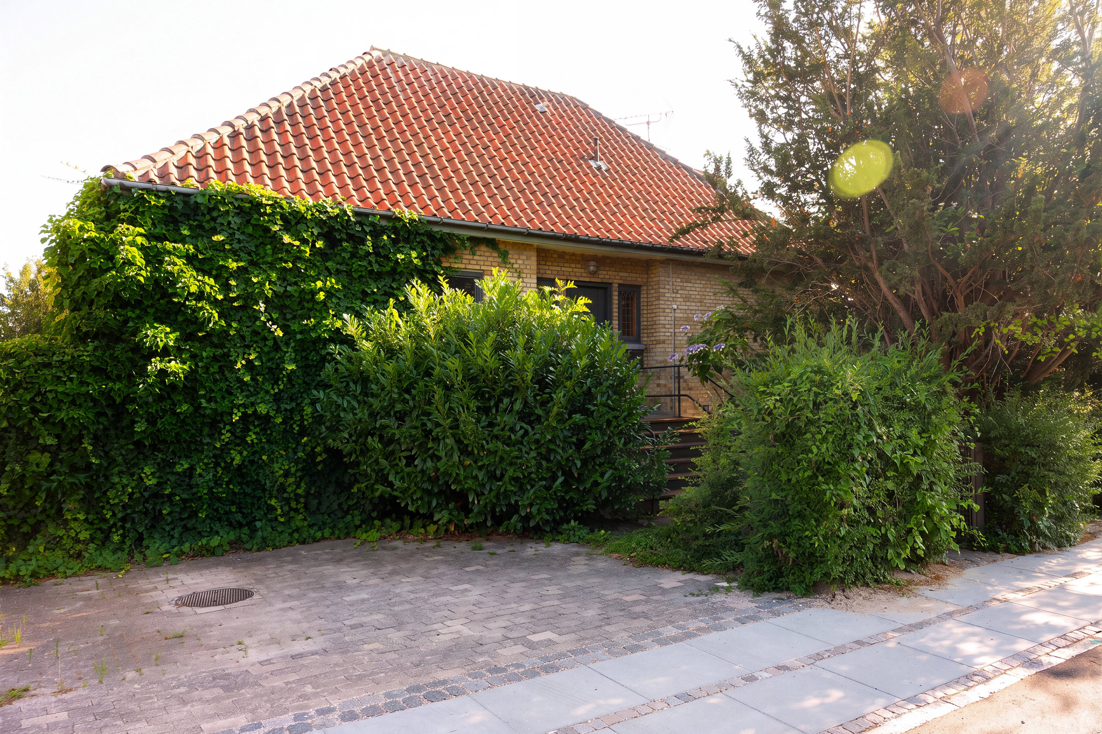 Grants Alle 45 1 2900 grants alle 45 1