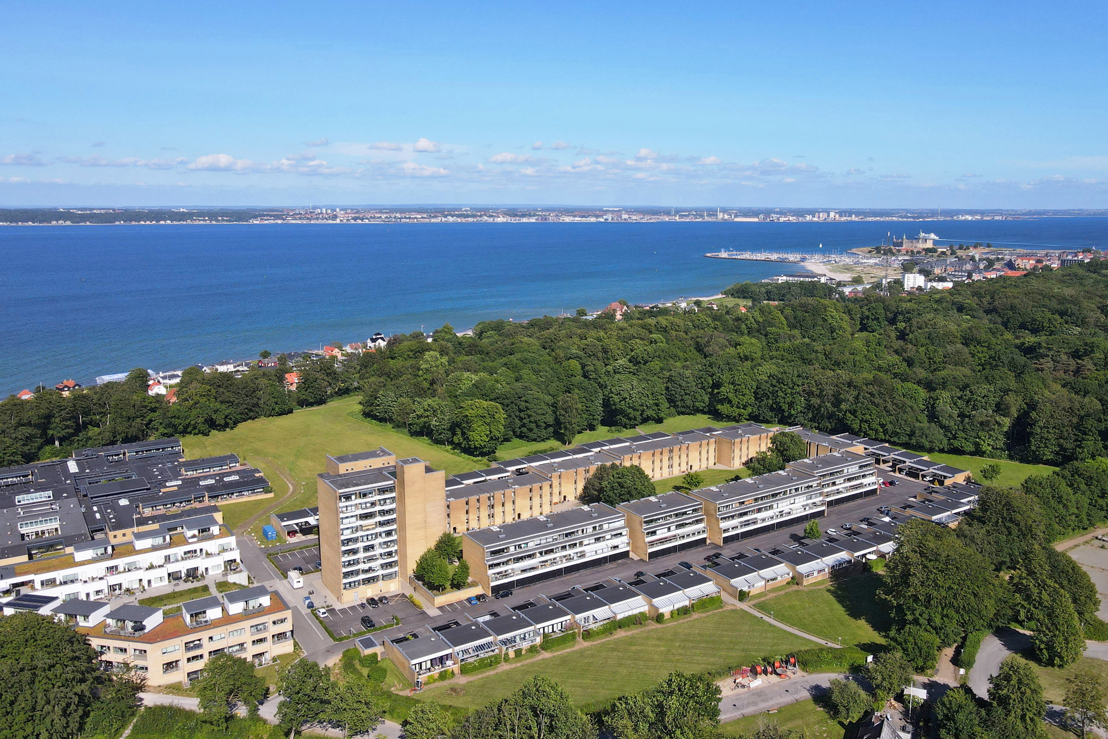 3000 hellebo park 1 5 6 1