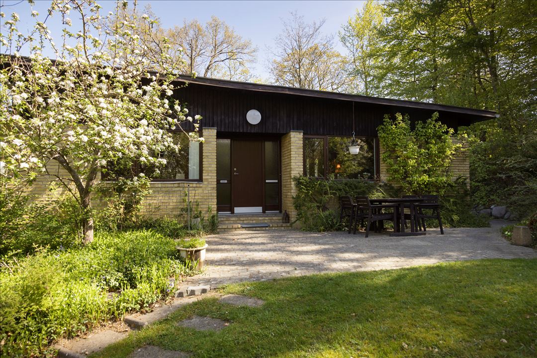 3300 vinderod skov 40b 1