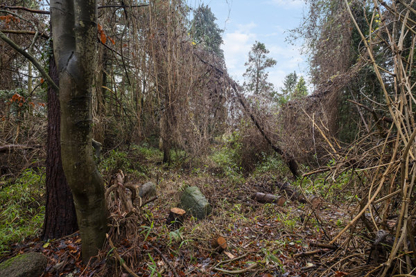 3500 bakkevej 7 hareskov 1