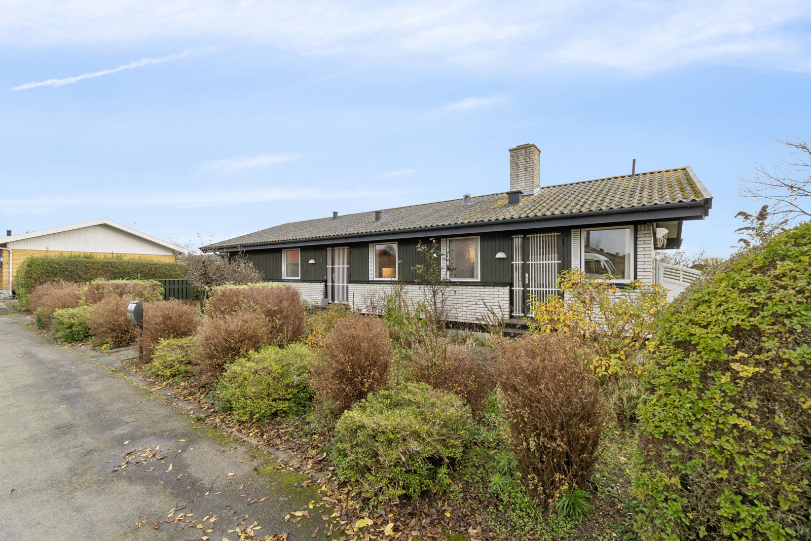 3700 brombaerlokken 2 1