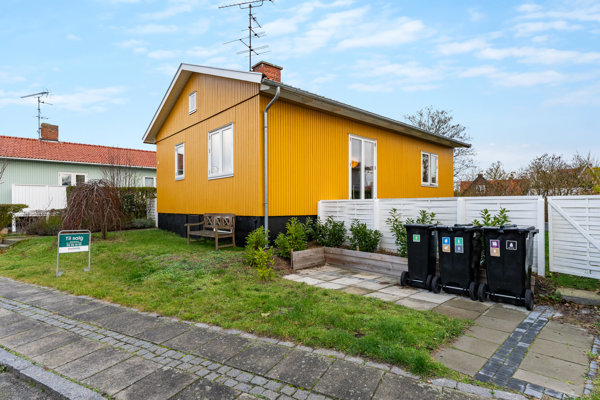 3700 paeretraesdalen 18 ronne 1