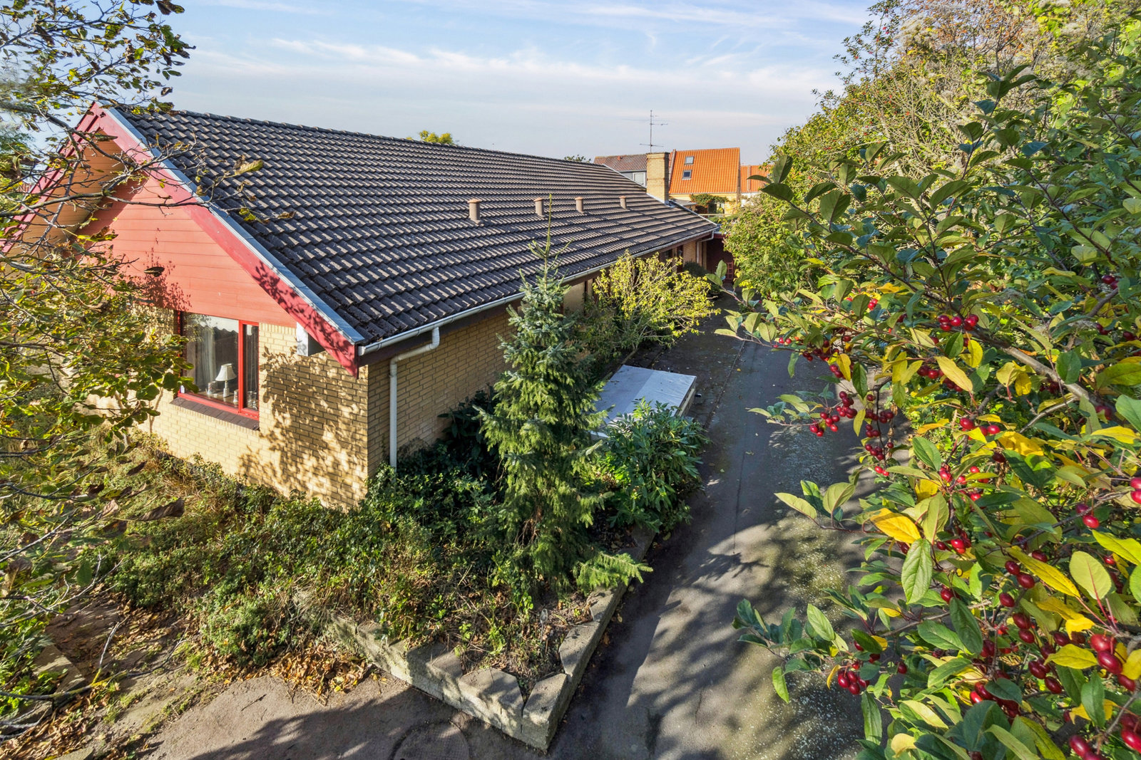 3700 pingels alle 72 1