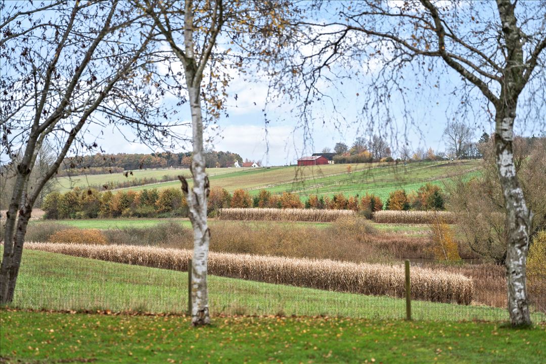 Lindenborgvej 104, Kornerup 1 4000 lindenborgvej 104 kornerup 1