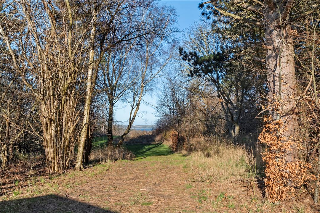 Hegnet 5, Klint