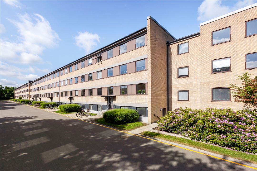 Boholtevej 29, 2. TH 1 4600 boholtevej 29 2 th 1