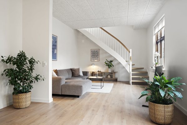 Borgergade 8 1 7800 borgergade 8 1