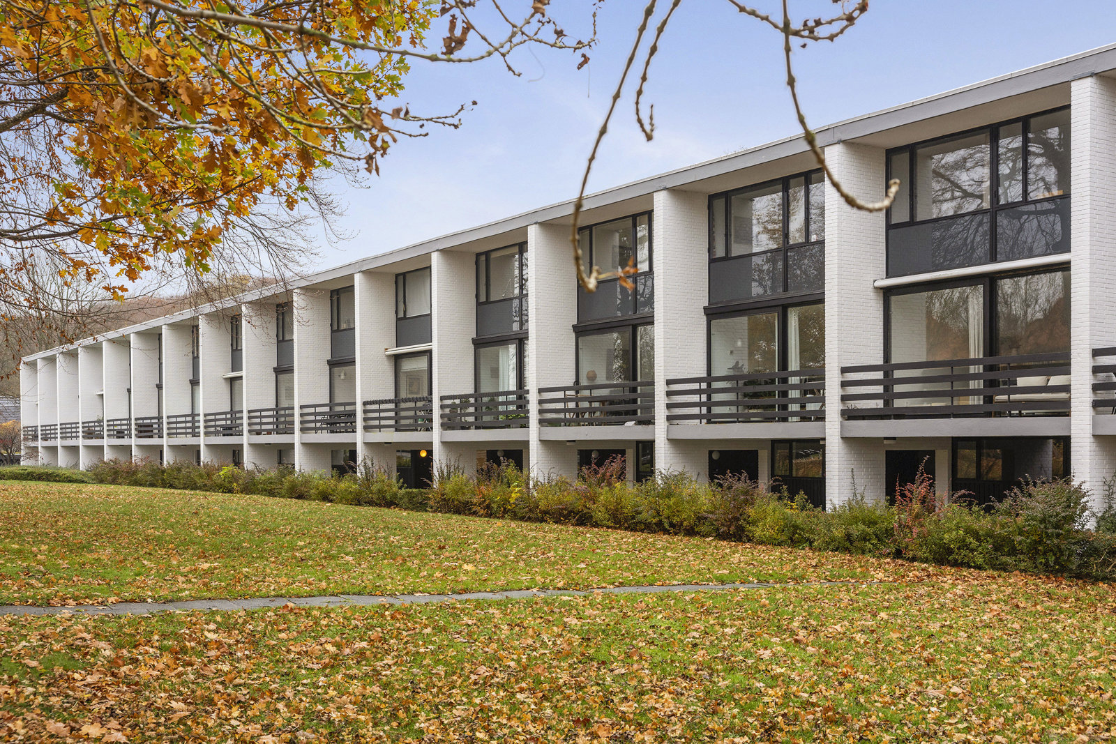 Skovfaldet 2D 1 8200 skovfaldet 2d 1