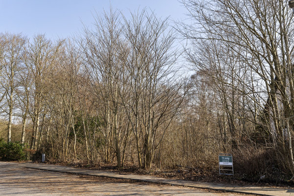 Brinken 1 1 9800 brinken 1 1