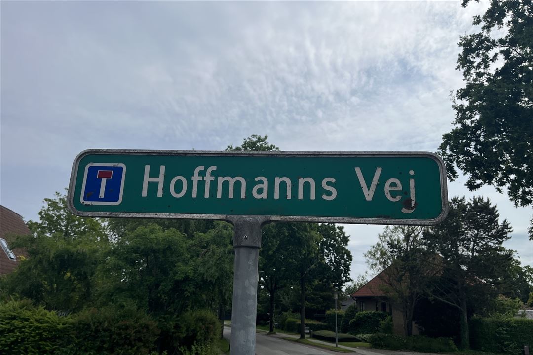 Hoffmanns Vej 8A, Delnr. 1